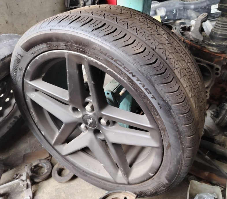 Used Ford Mustang 2024 Tire 255/40R19 – 1 Piece, إطار مستعمل لفورد موستانج 2024 بمقاس 255/40R19 – قطعة واحدة