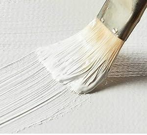 Alayjah, 500ML Black & White Acrylic Gesso Base Paint,1 Piece,Fine Quality, Fast-Dry Art Primer for Canvas & Craftsالايجاه، طلاء أساس جيسو أكريليك أسود وأبيض سعة 500 مل، قطعة واحدة، جودة عالية، أساس فني سريع الجفاف للكانفس والأشغال اليدوية