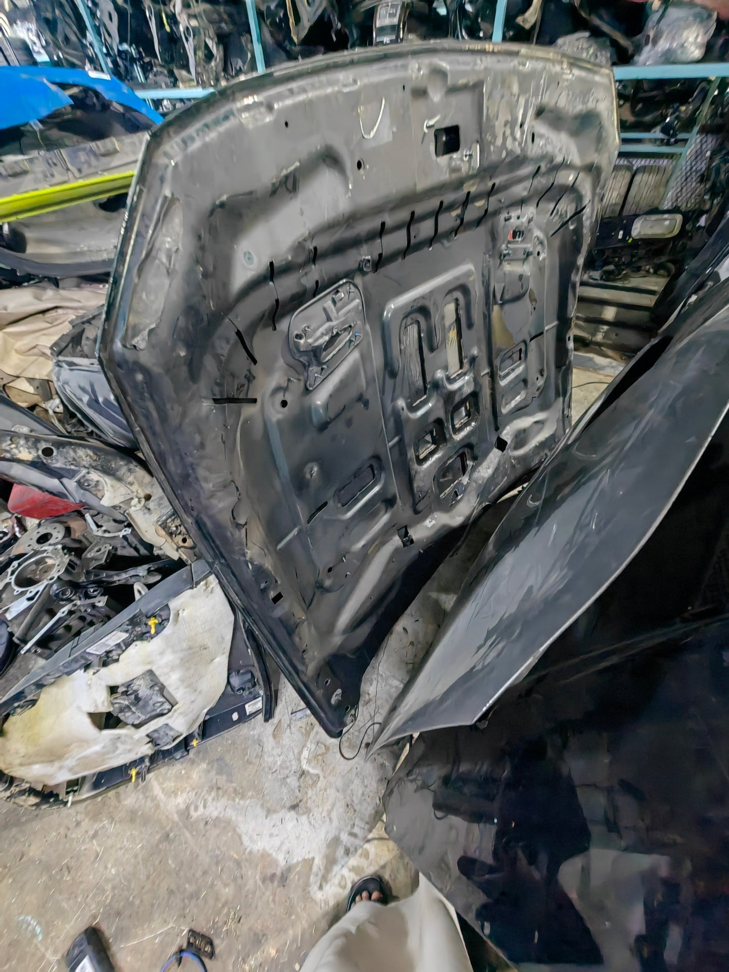 Used Bullitt Green Ford Mustang Hood Bonnet 2015-2023  بونيت كبوت موستنج بولت لون اخضر