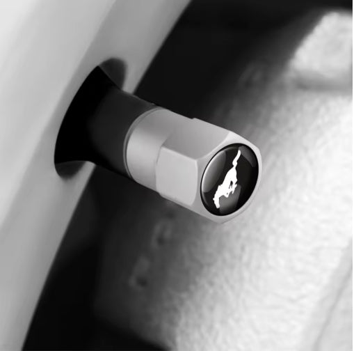 4PCS Car Tire Valve Caps, Ford Mustang, Shelby, Fiesta, Mondeo, Fusion, Durable Logo Dust Protection 4 قطع أغطية صمامات إطارات سيارات, فورد موستانج، شيلبي، فييستا، مونديو، فيوجن, حماية من الغبار مع شعار السيارة