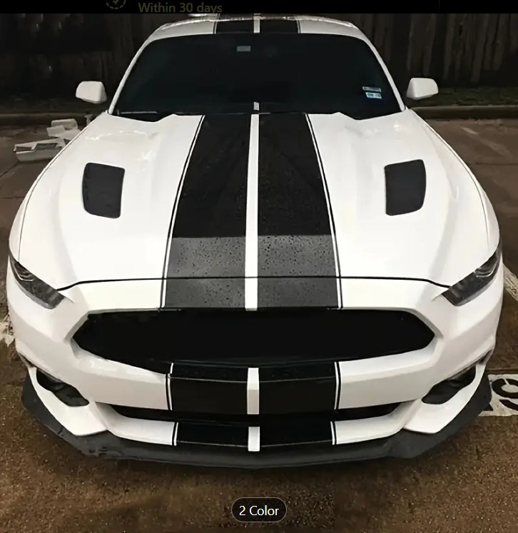 6PCS Parallel Line Car Stickers, Universal Sport Stripes for All Vehicles, Compatible with Shelby Mustang GT350/GT500 6 قطع ملصقات سيارات بخطوط متوازية, تصميم رياضي عالمي لجميع المركبات متوافق مع شيلبي موستانج GT350 / GT500