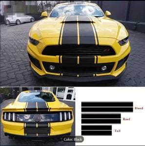 6PCS Parallel Line Car Stickers, Universal Sport Stripes for All Vehicles, Compatible with Shelby Mustang GT350/GT500 6 قطع ملصقات سيارات بخطوط متوازية, تصميم رياضي عالمي لجميع المركبات متوافق مع شيلبي موستانج GT350 / GT500