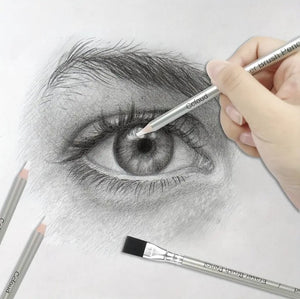 Ccfoud 10pcs Fine Detail Eraser Pencils with Brush Tips, Precision Highlighting Tool for Sketching & Art طقم 10 أقلام ممحاة دقيقة Ccfoud مع رؤوس فرشاة, أداة تظليل دقيقة للرسم والفنون