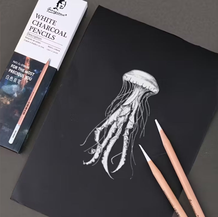 12-24-Color Professional Charcoal Pencils Set, Premium Drawing & Shading Pencils for Artists, Sketching, and Creative Artwork طقم أقلام فحم احترافية 12/24 لون, أقلام رسم وتظليل عالية الجودة للفنانين والتخطيط والإبداع الفني