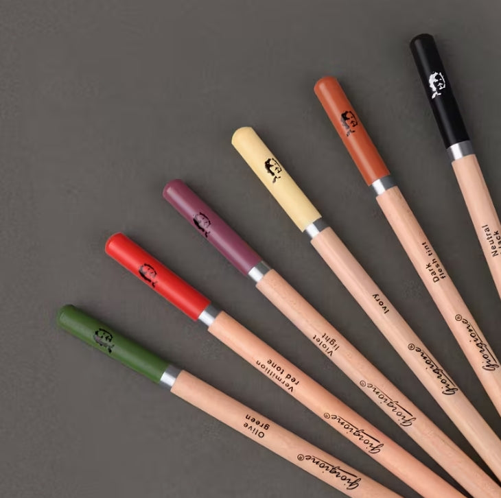 12-24-Color Professional Charcoal Pencils Set, Premium Drawing & Shading Pencils for Artists, Sketching, and Creative Artwork طقم أقلام فحم احترافية 12/24 لون, أقلام رسم وتظليل عالية الجودة للفنانين والتخطيط والإبداع الفني