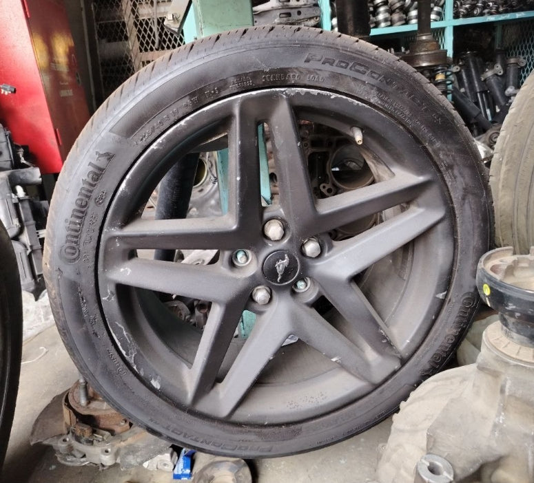 Used Ford Mustang 2024 Tire 255/40R19 – 1 Piece, إطار مستعمل لفورد موستانج 2024 بمقاس 255/40R19 – قطعة واحدة
