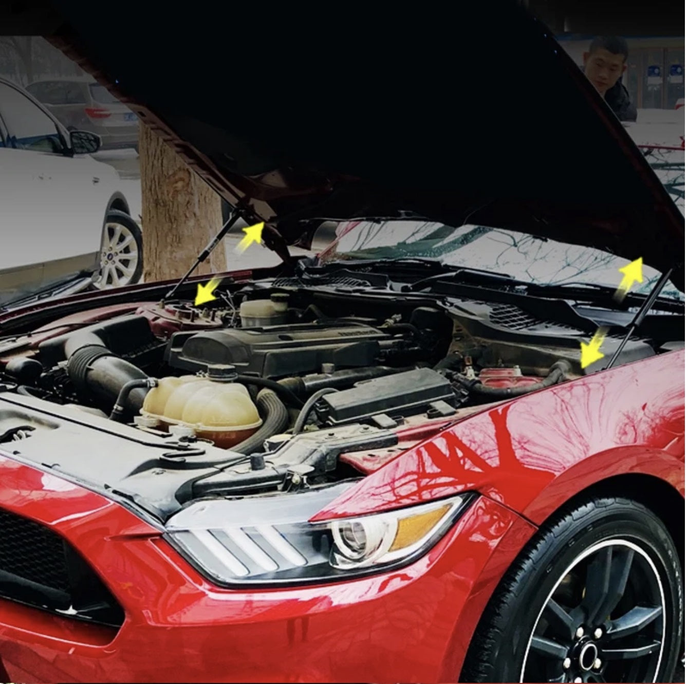 Hood Struts Ford Mustang جامبينات مساعدات لرفع بونيت فورد موستنج